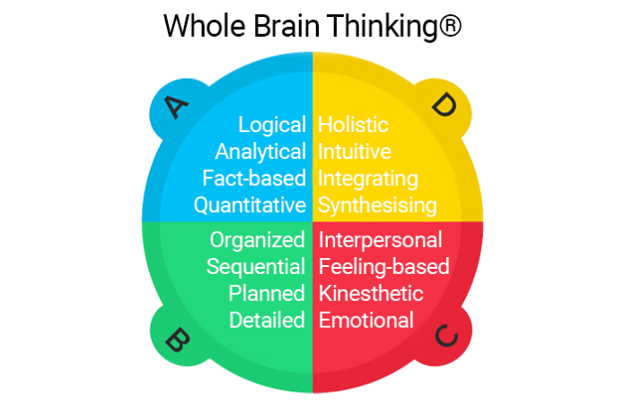 Whole Brain Thinking®